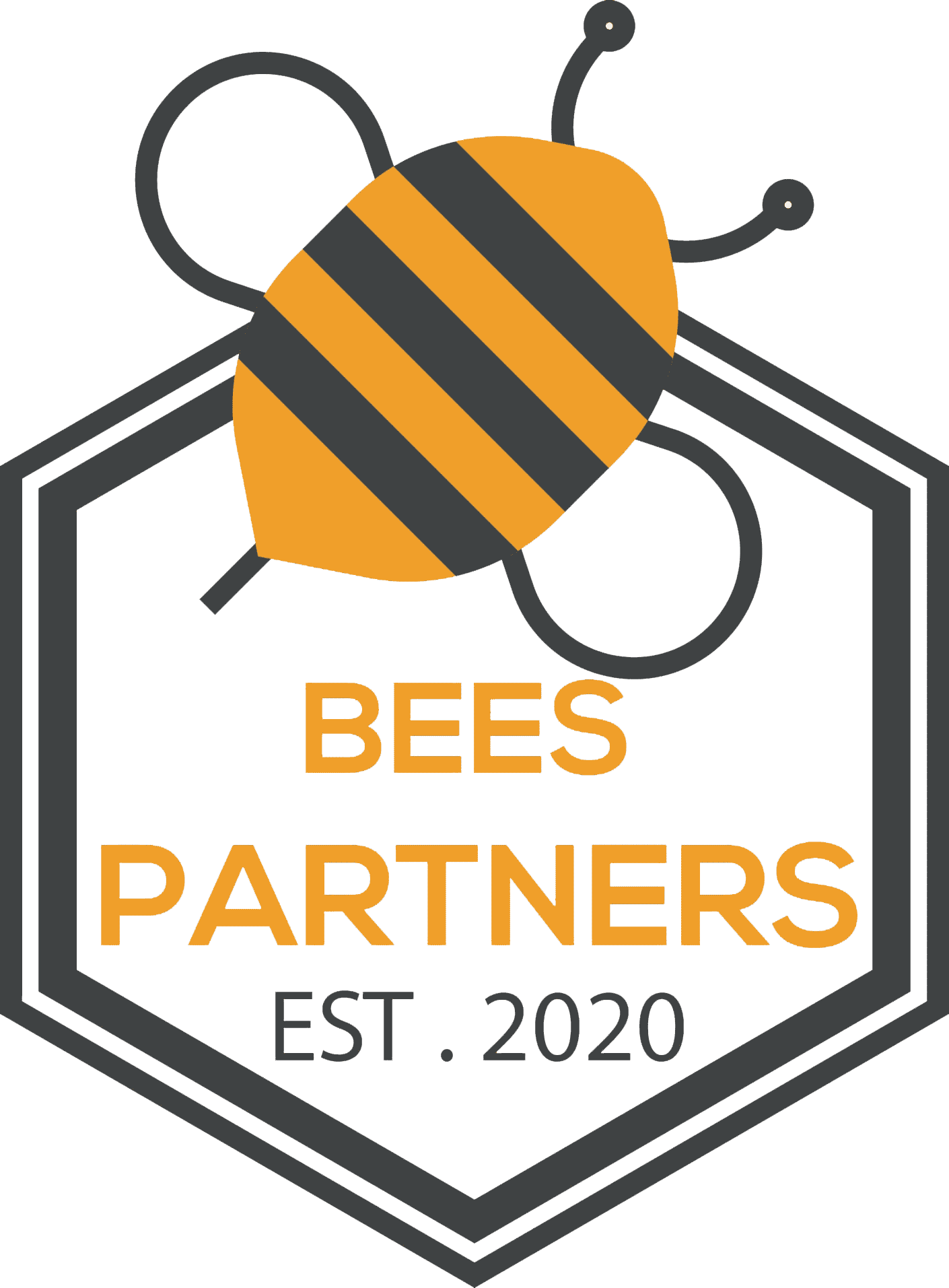 Bees Partners - Pure honey