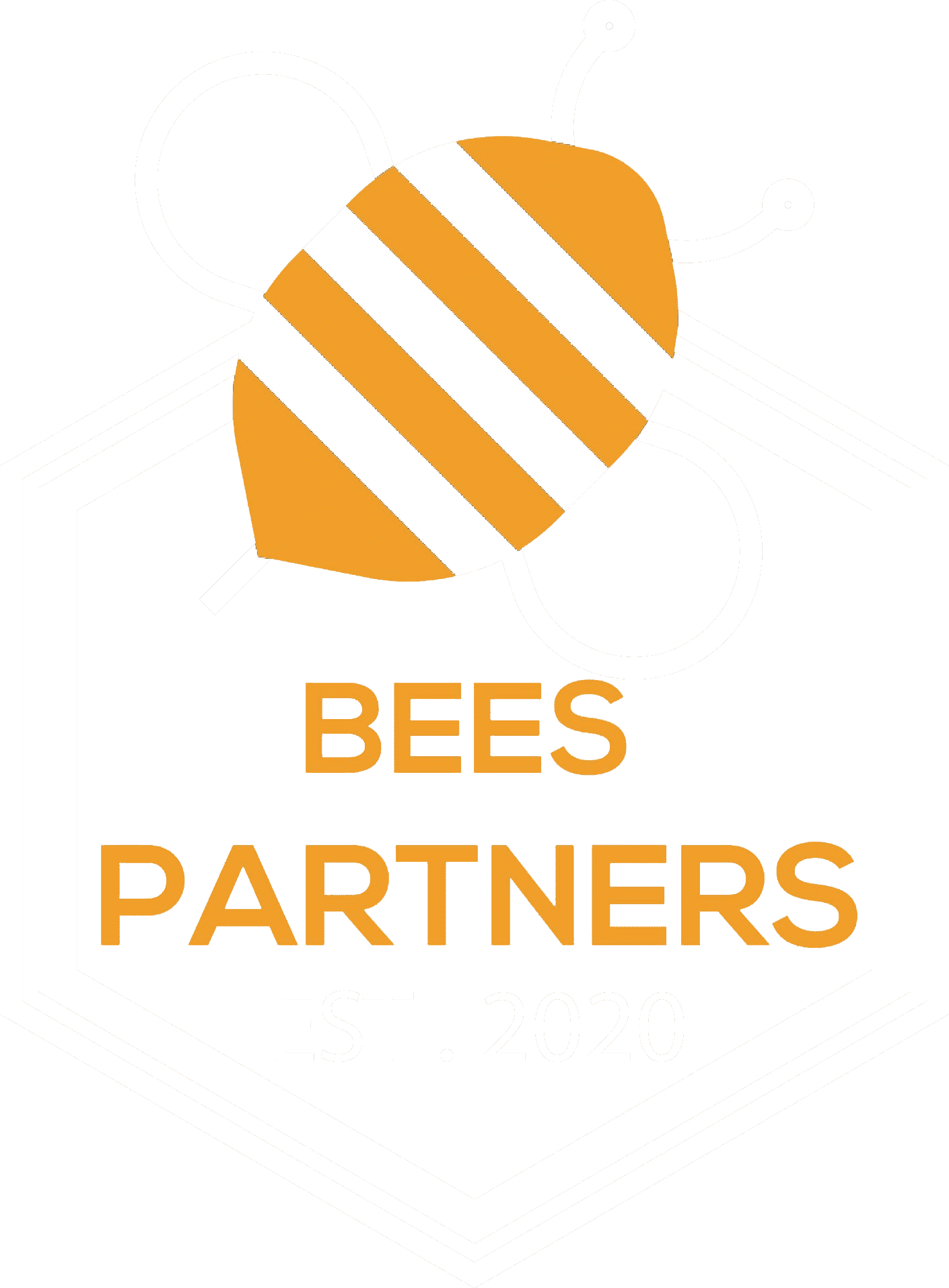 Bees Partners - Pure honey