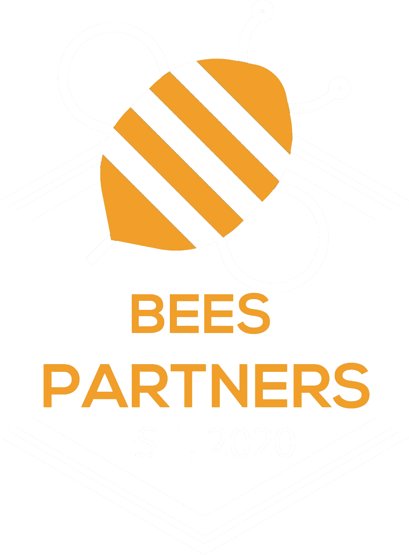 Is Bee Sting Really Fatal? | Bees Partners | 2022