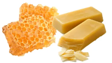 Types and benefits of bee products