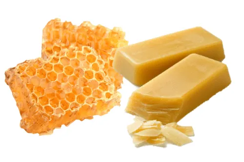 Types and benefits of bee products