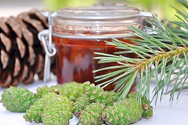Properties And 9 Health Benefits Of Pine Honey 1