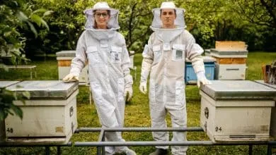 Personal protective equipment for beekeepers