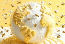 honey bee spray