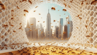 Inside the Largest Honey Bee Farm in NYC