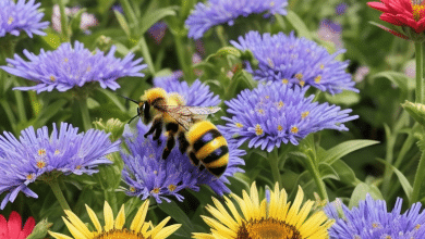 what flowers have nectar for bees