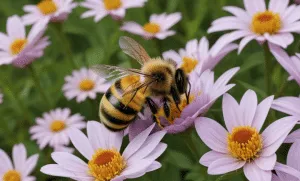 what flowers have nectar for bees what flowers have nectar for bees