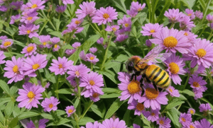 what flowers have nectar for bees