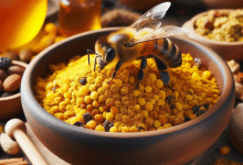 Bee Pollen The Superfood that Boosts Immunity and Fights Inflammation