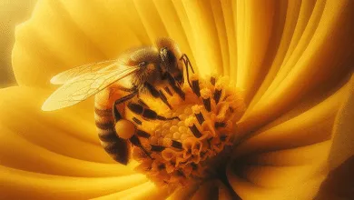 Discover the Best Nectar Plants for a Thriving Bee Habitat