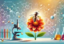 Bee Venom as a Potential Cancer Treatment Current Research Findings