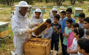 How to Document and Share Your Experiences with New Queen Bees Educating Others about Queen Bees