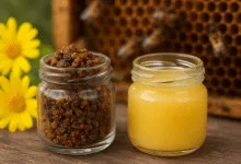 Comparing Royal Jelly and Propolis What's Right for You?