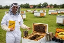 how to start beekeeping denmark A Step‑by‑Step 2025 Tutorial