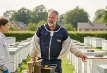 setting up an apiary denmark Expert Tips