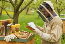 first year beehive management checklist What Every New Beekeeper Needs
