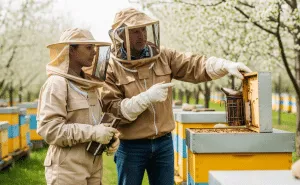 first year beehive management checklist What Every New Beekeeper Needs Safety Precautions and Best Practices