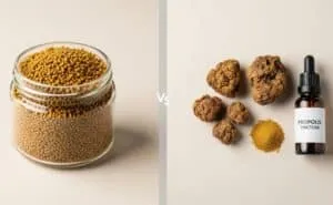 Scientific Research and Studies on Propolis Granules